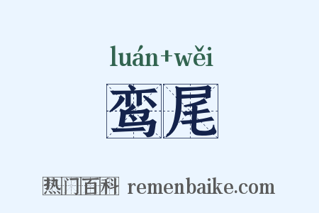 鸾尾是什么意思的图片